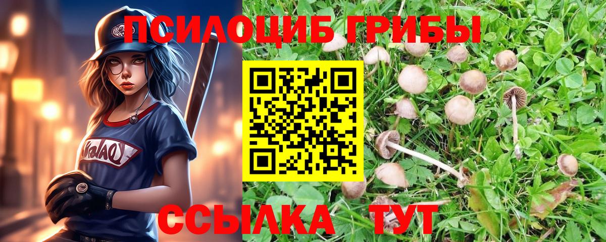 Аша  Галлюциногенные грибы ЛСД  Вход с VPN 