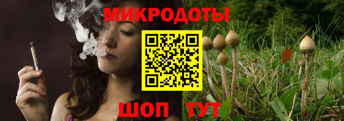 Псилоцибиновые грибы мухоморы Аша