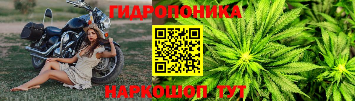 Бошки марихуана ГИДРОПОН Аша